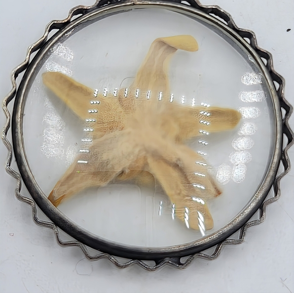 Vintage Lucite Starfish Pendant Domed Encased Specimen Silver Tone 1970s - Picture 7 of 9